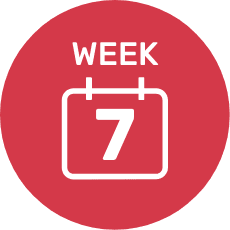 7 Week Infusion Time Icon